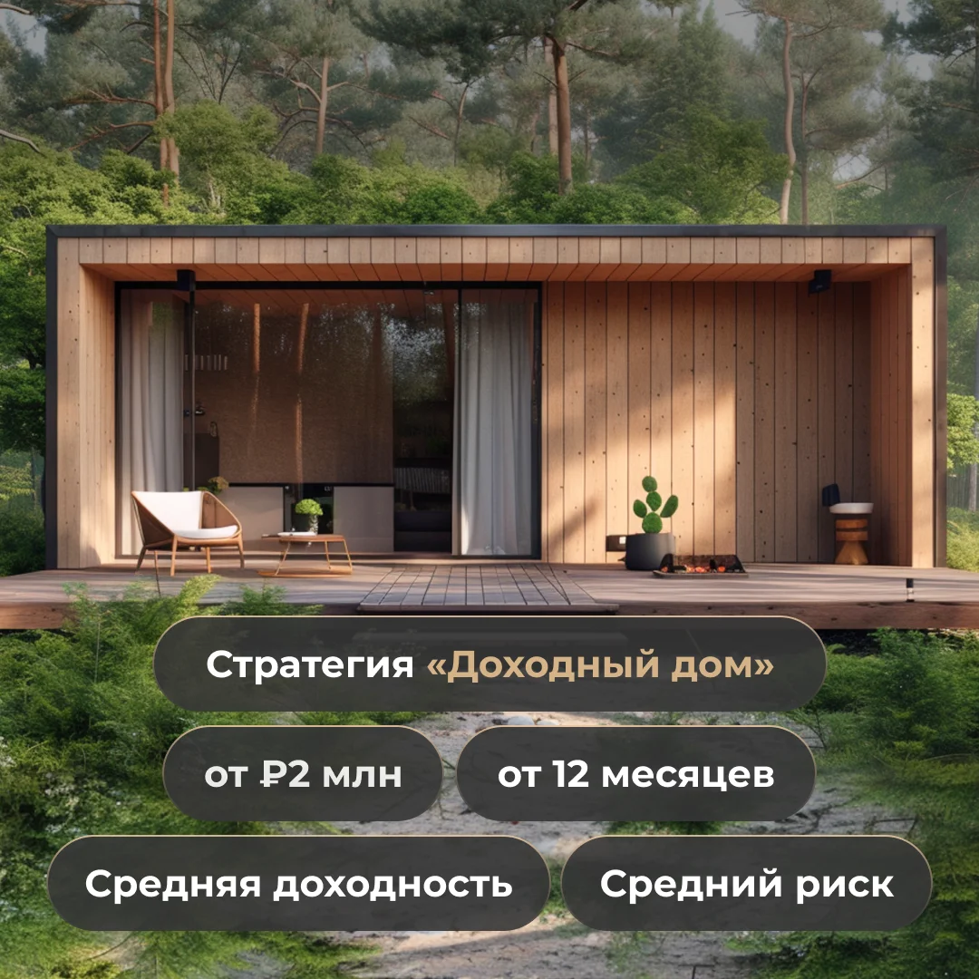 Стратегия Доходный дом