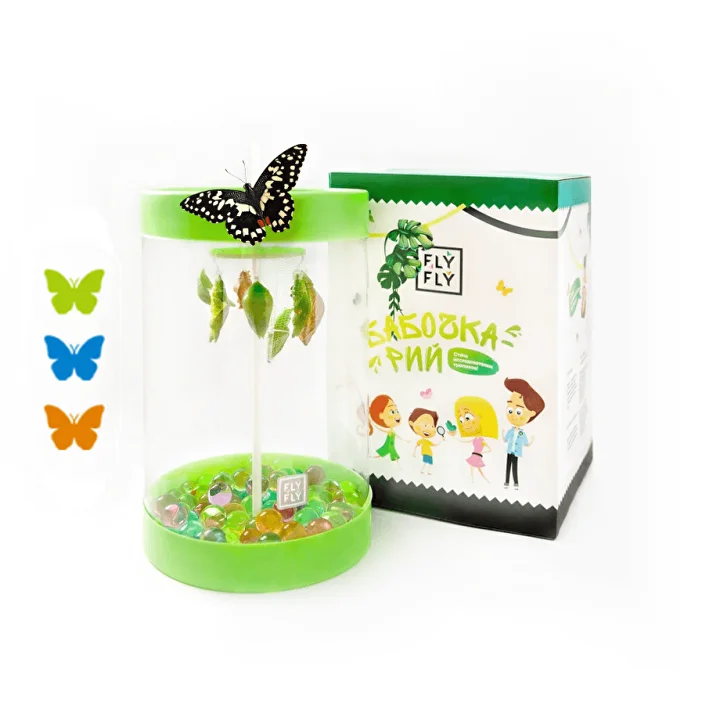 Бабочкарий