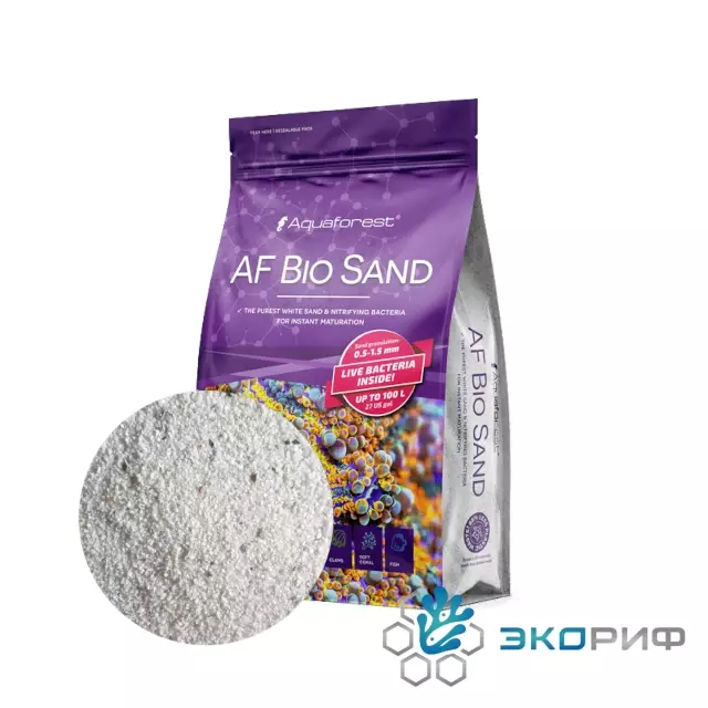 Команда Eco Reef