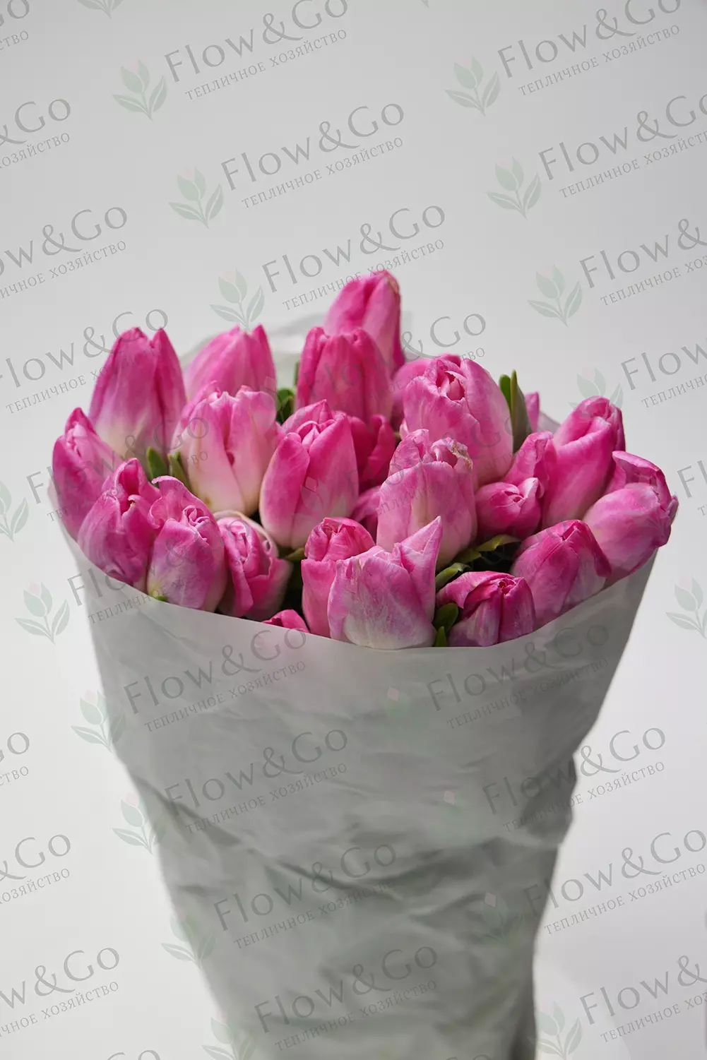 Тюльпаны Memphis