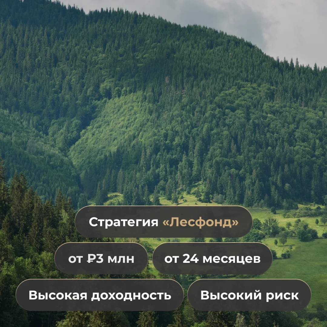 Стратегия Лесфонд