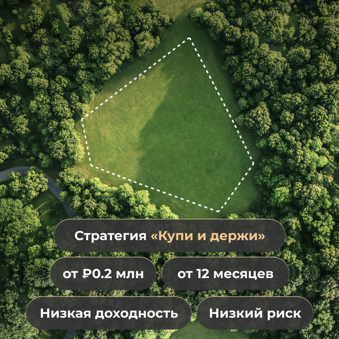 Стратегия Купи и держи