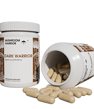 Dark Warrior :Темный Гриб в капсулах (400 мг)