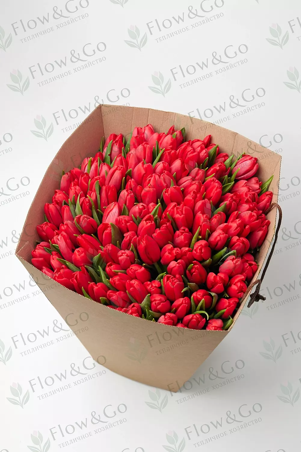 Тюльпаны Red Light