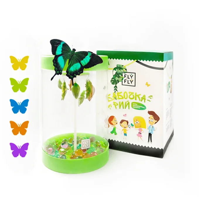 Бабочкарий Стандарт