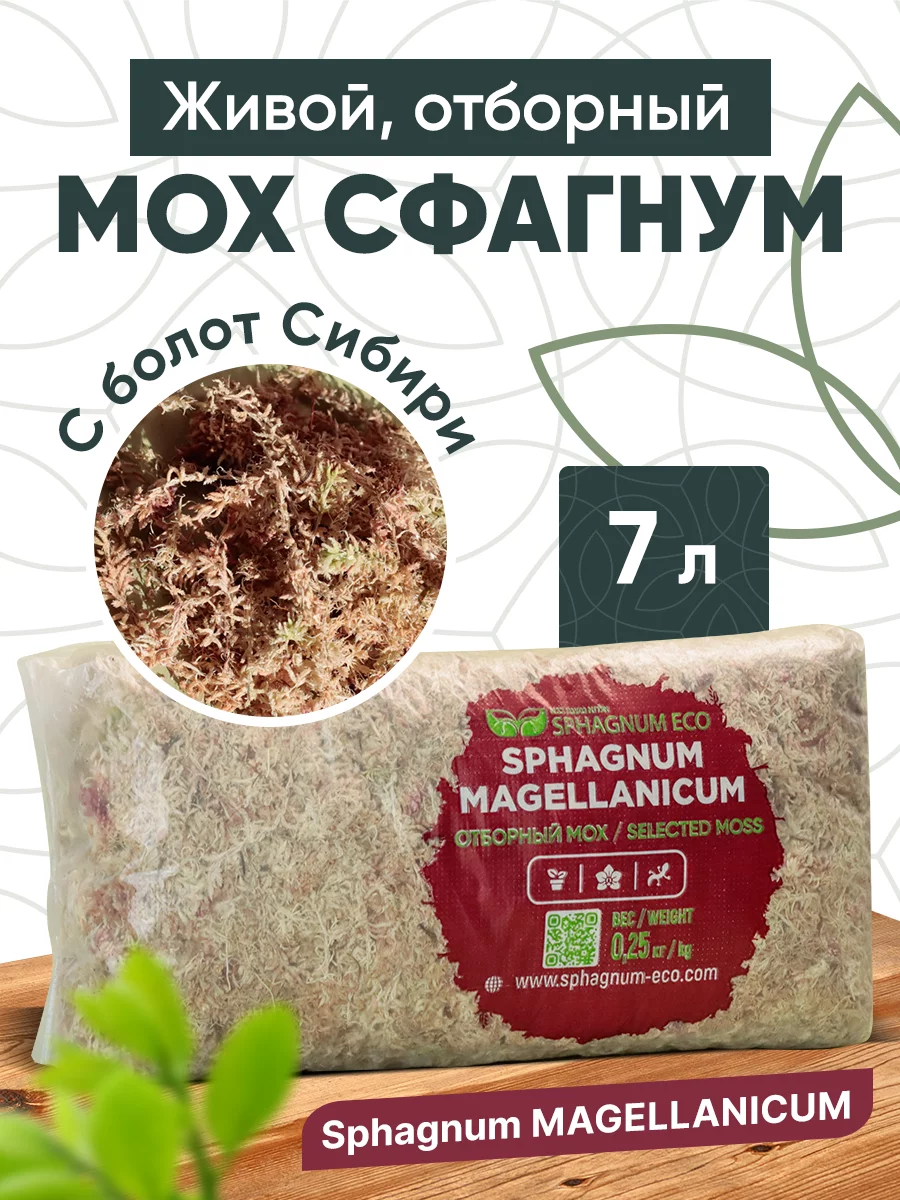 Купить живой мох сфагнум для орхидей