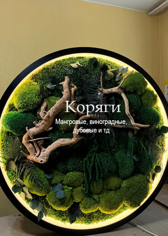 Фитопанно мох и кора, природная фактура — Mossify