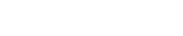 Selectel