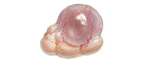 Желідегі жыныстық қатынас кезінде тұншығу Kusi dukhtari tojik секс видео