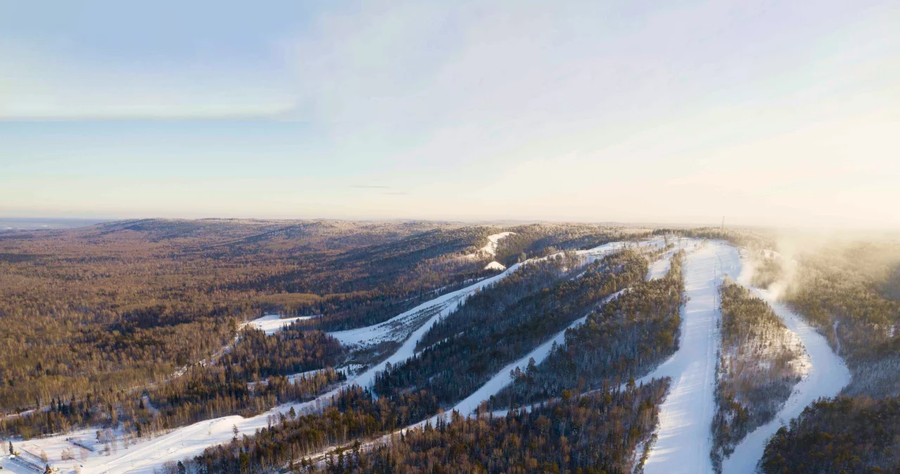 Программа лояльности