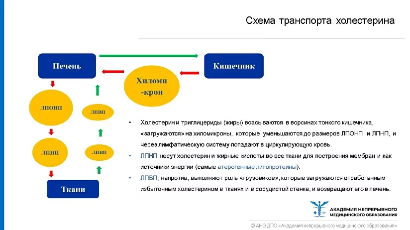 Атеросклероз кишечника