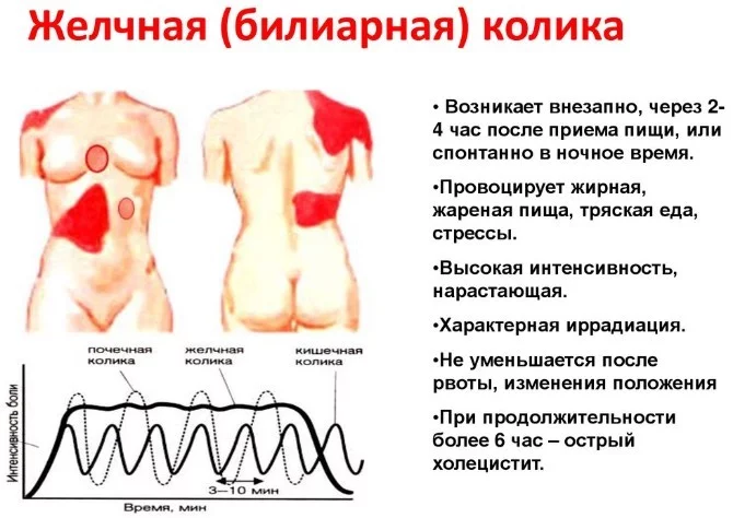 Лечение заболеваний желчного пузыря