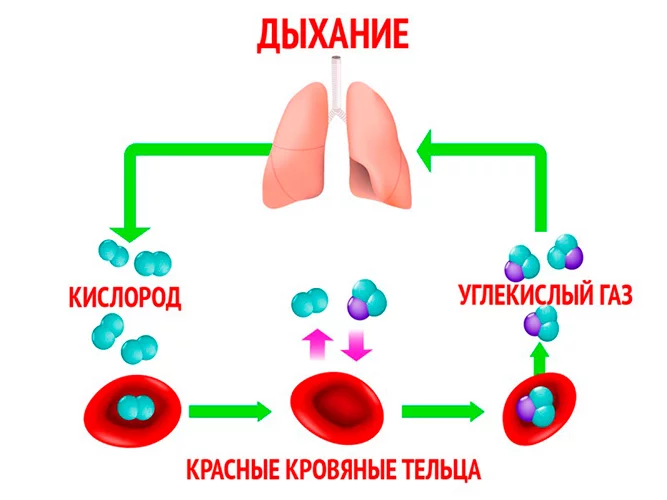 Способы получения углекислого газа