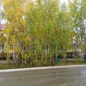 Ирина Рябова