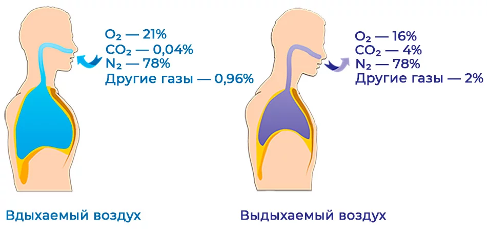 Когда углекислый газ становится ядом!?!