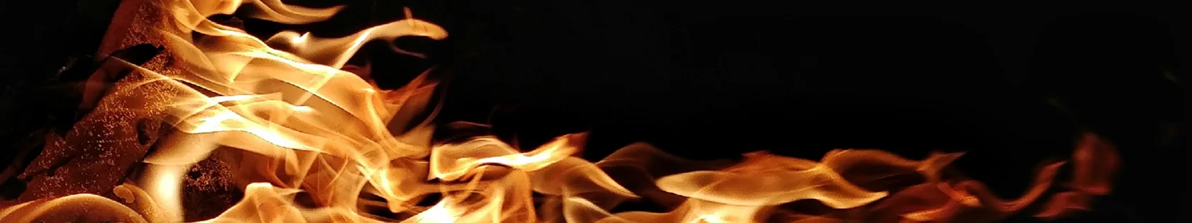 Дерево Ян 甲 и Дерево Инь 乙 — ноябрь 2026 года