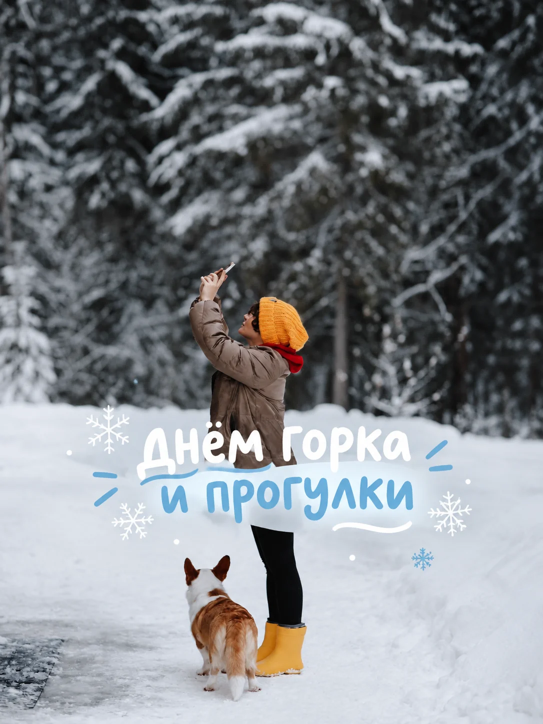 Зимний отдых с собакой