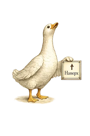 Наверх