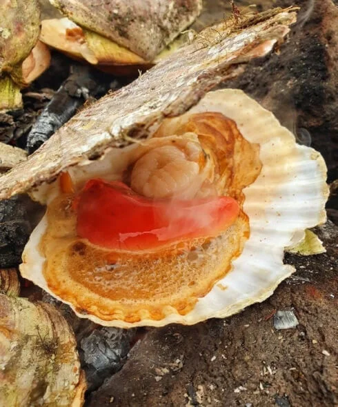 Курильские острова — пейзаж