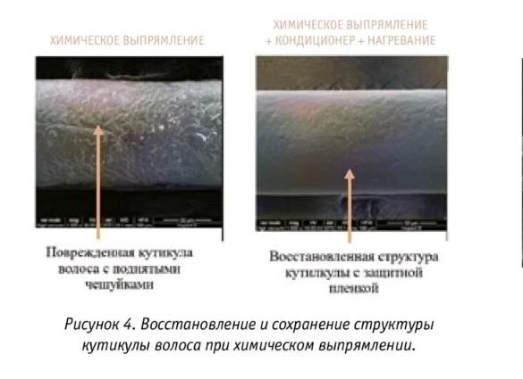 Восстановление структуры кутикулы волоса при химическом выпрямлении