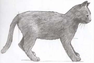 Как нарисовать кота | Рисунок кота поэтапно карандашом
