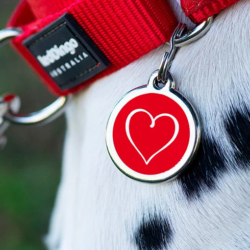 Адресник Red Dingo с персональной гравировкой