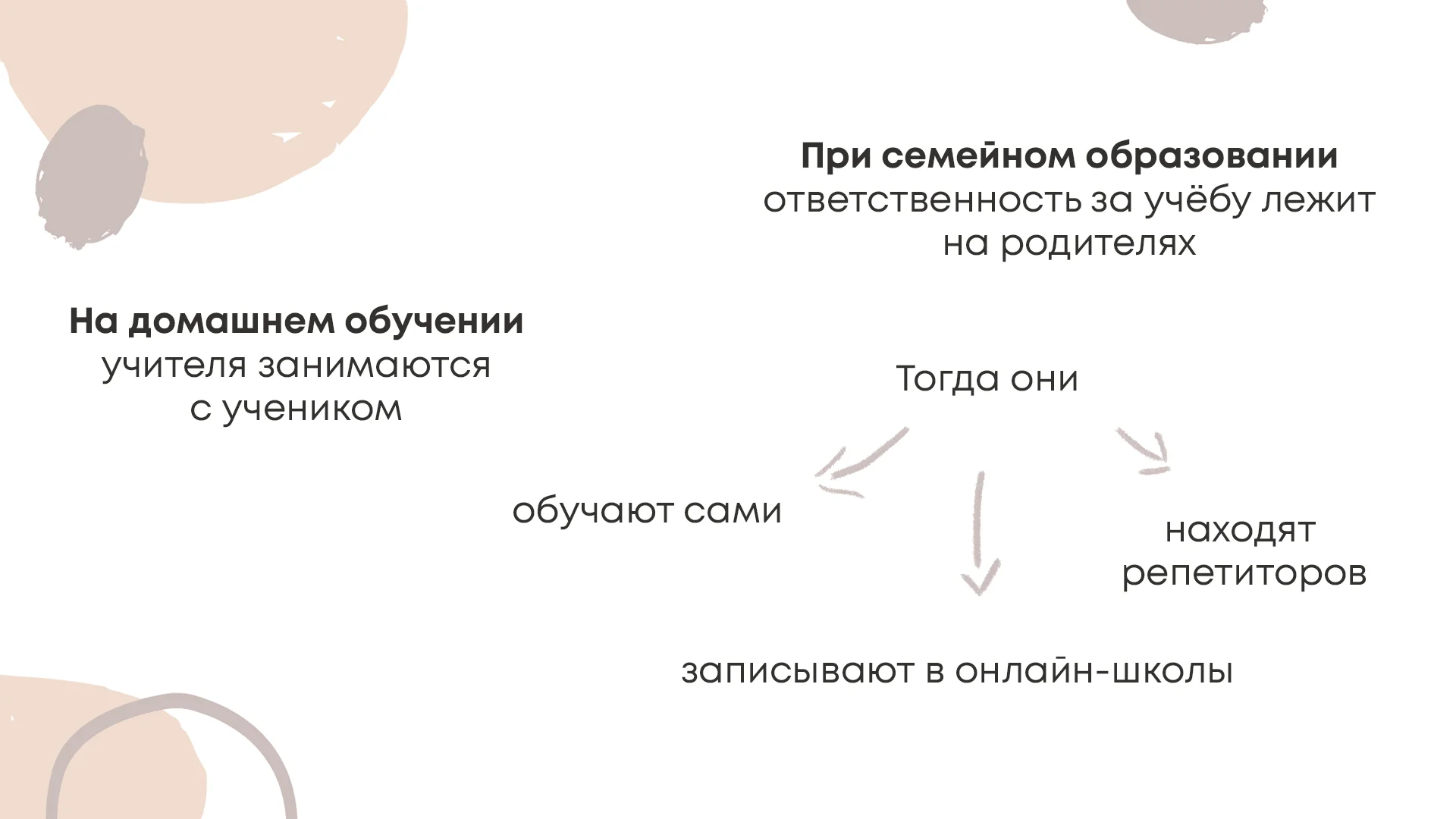 Домашнее и семейное обучение. Рассказываем, как устроены эти модели  образования