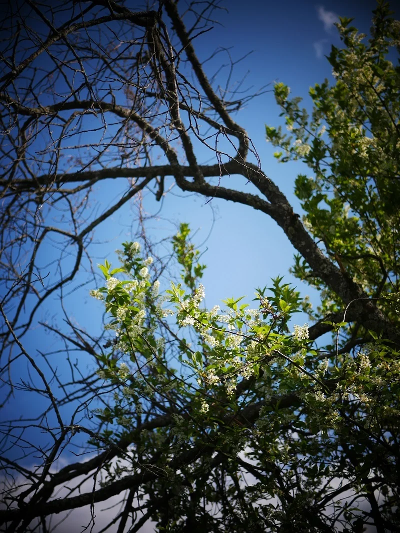 06 / LIGHT & SHADOW