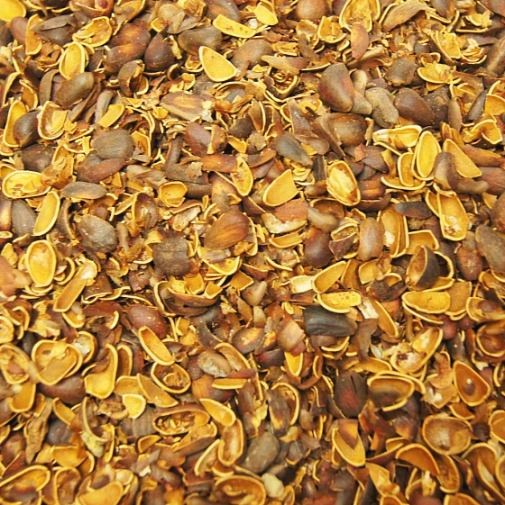 Мульча из скорлупы кедрового ореха купить в мешках