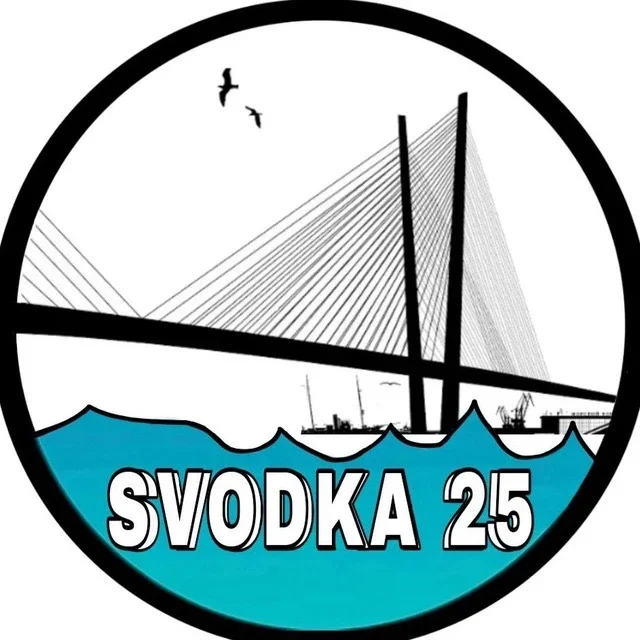 Сводка 25
