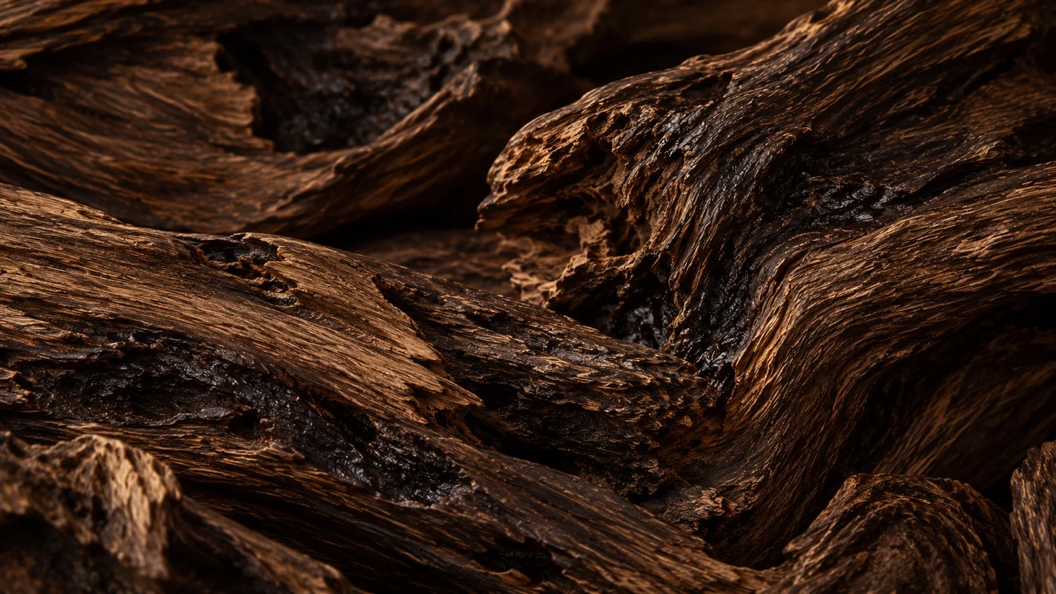 Agarwood close-up