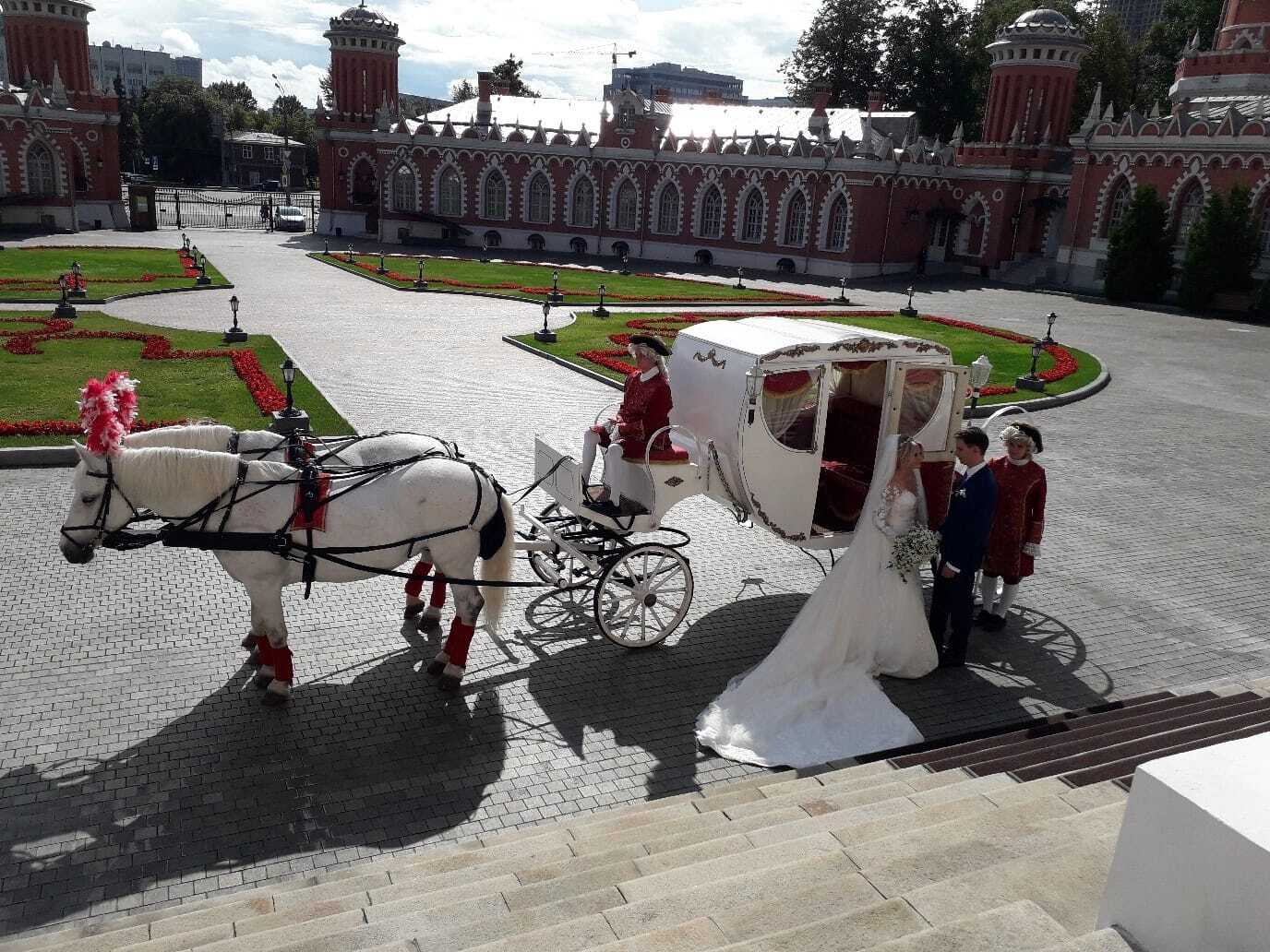 Свадебные лошади и карета