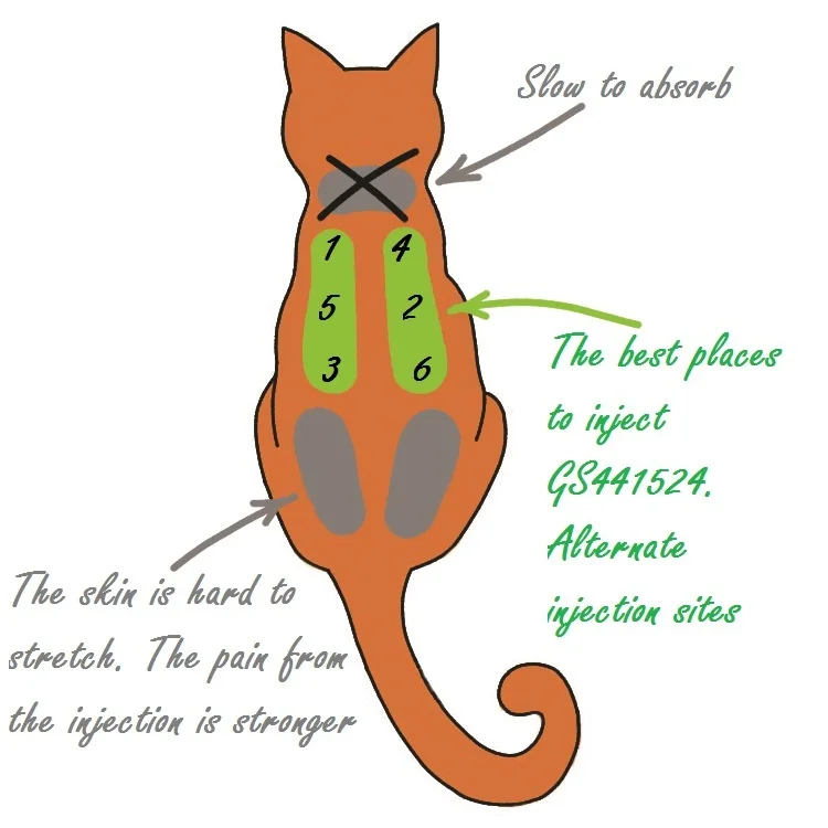 what area do you give a cat b12 injection Treatment of FIP retatrutide bac water Reconstitution Size:210 Sublingual Tablets (Bonus Size) sinus spray