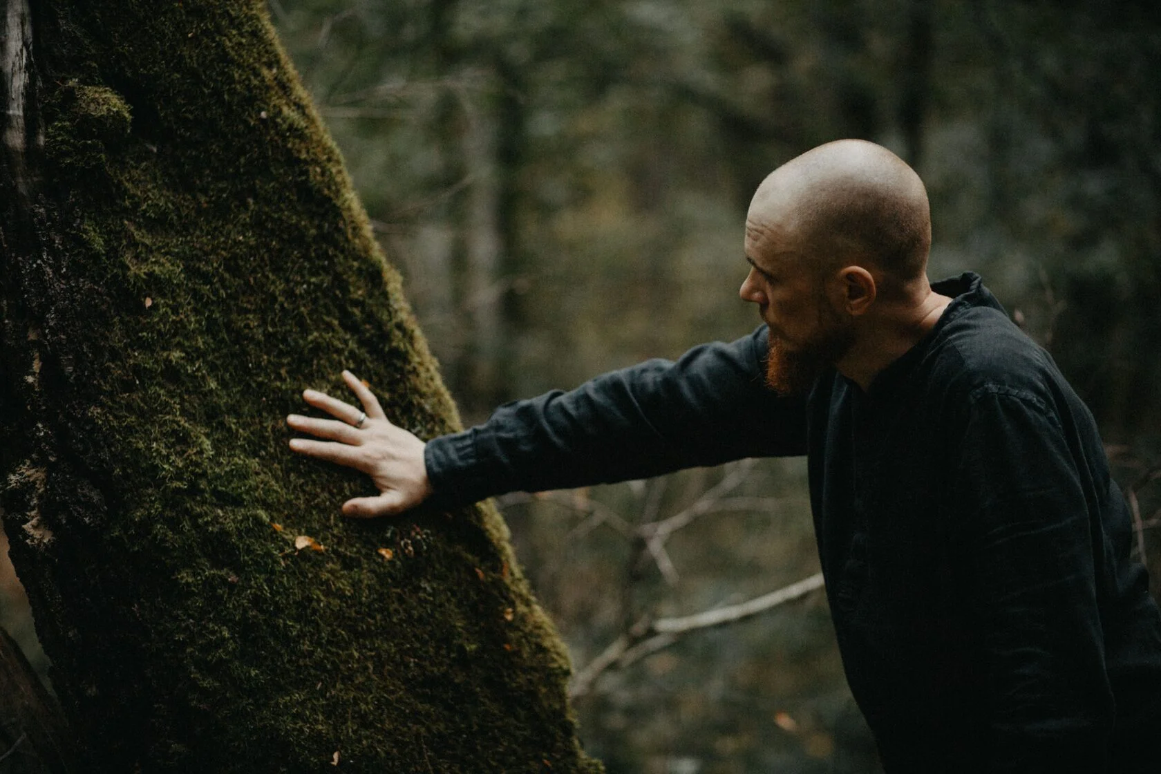Александр Север