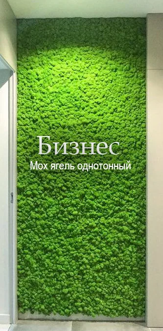 Панно из стабилизированного мха ягель в интерьере — Mossify