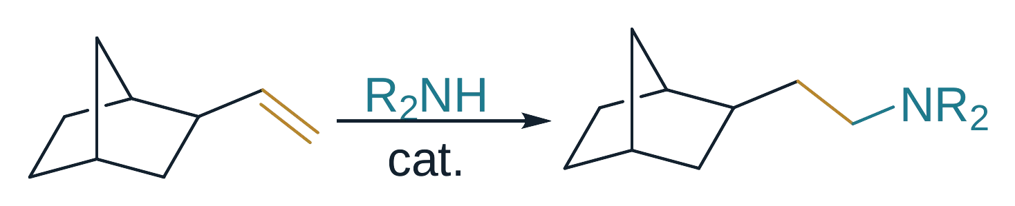 Hydroamination of 2-vinylnorbornane with a secondary amine