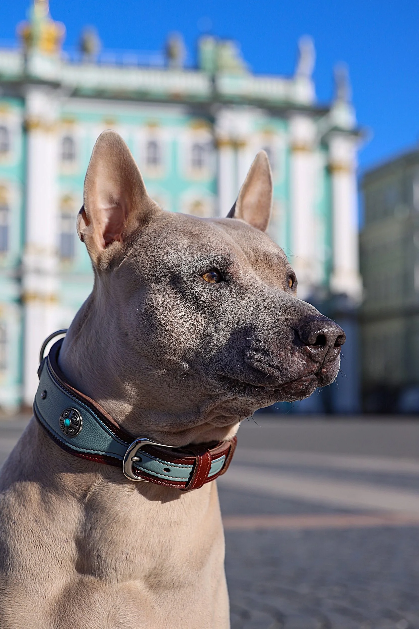 Деталь: фурнитура коллекции Hermitage