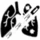 organs