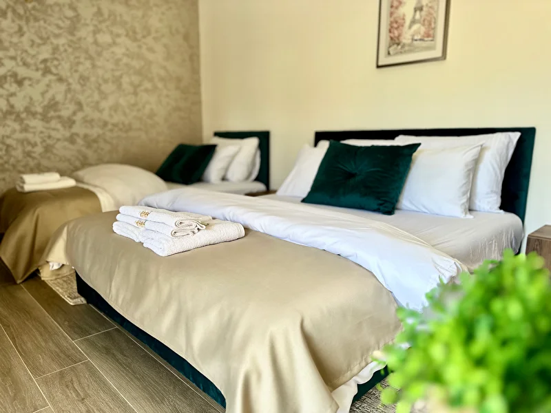Apartman-studio sa terasom, fotografija 11