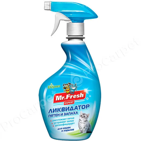 Чем Можно Убрать Запах Кошачьей Мочи