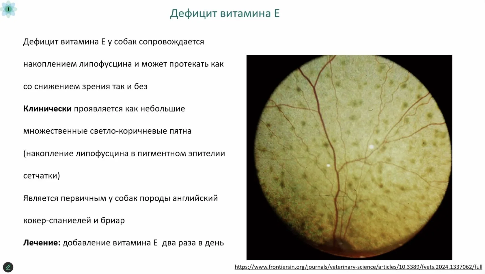 Мини-лекции