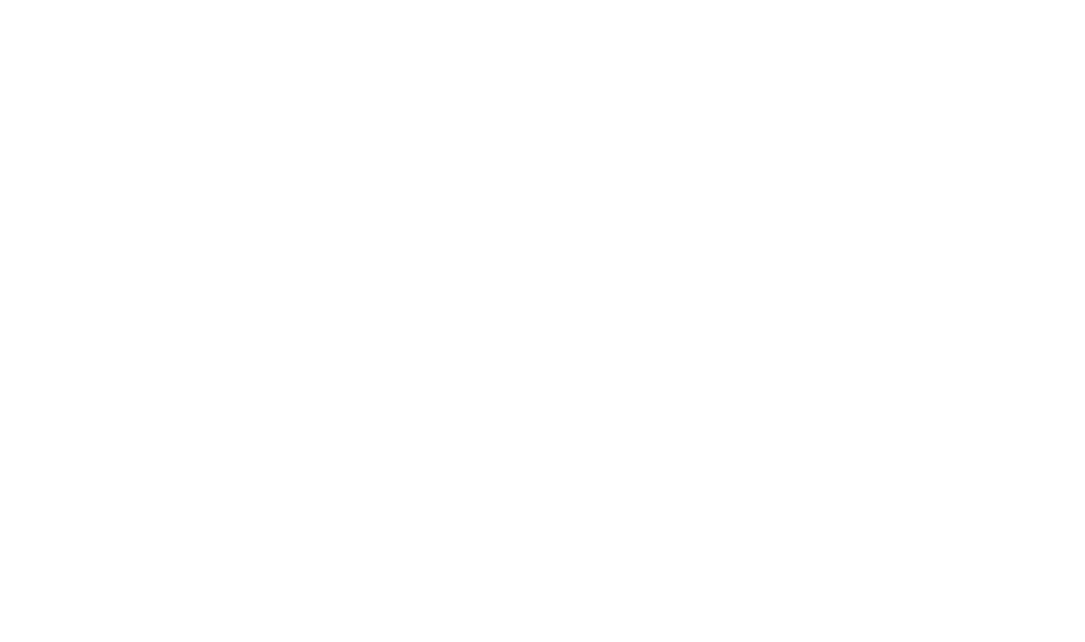 RBI — The Art of Real Estate