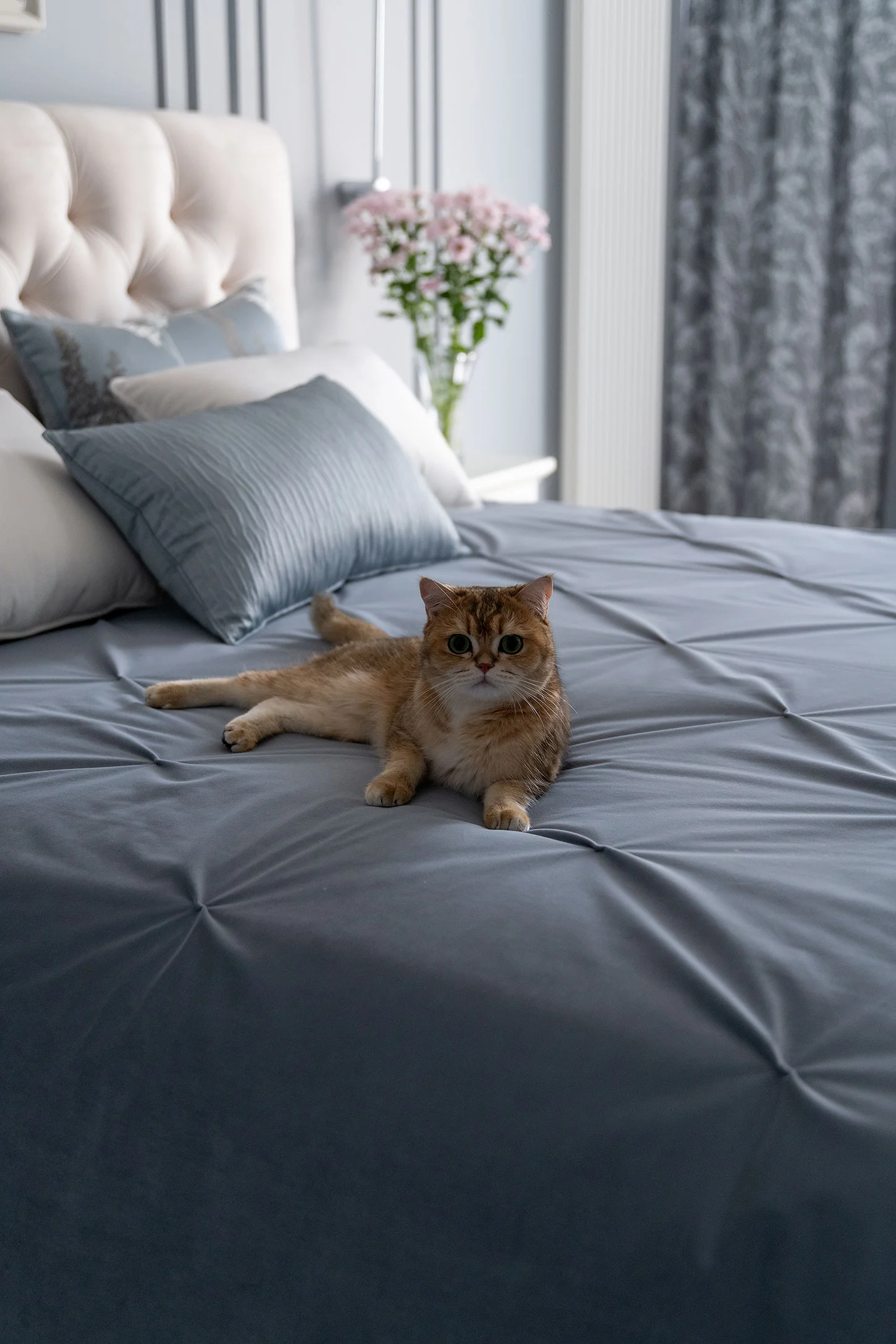 Жук салон текстильного дизайна