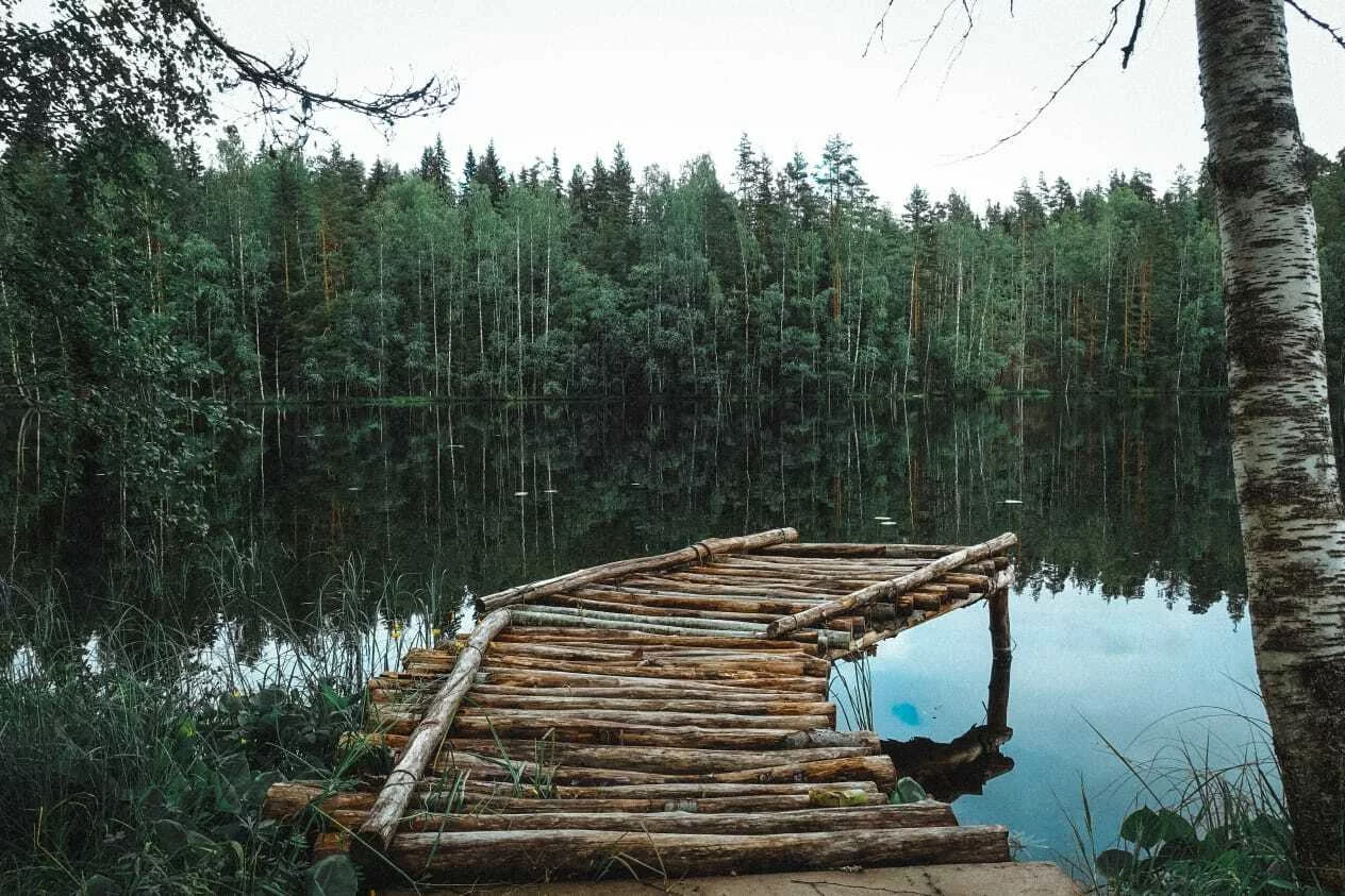 База отдыха Brusnika Village в Карелии