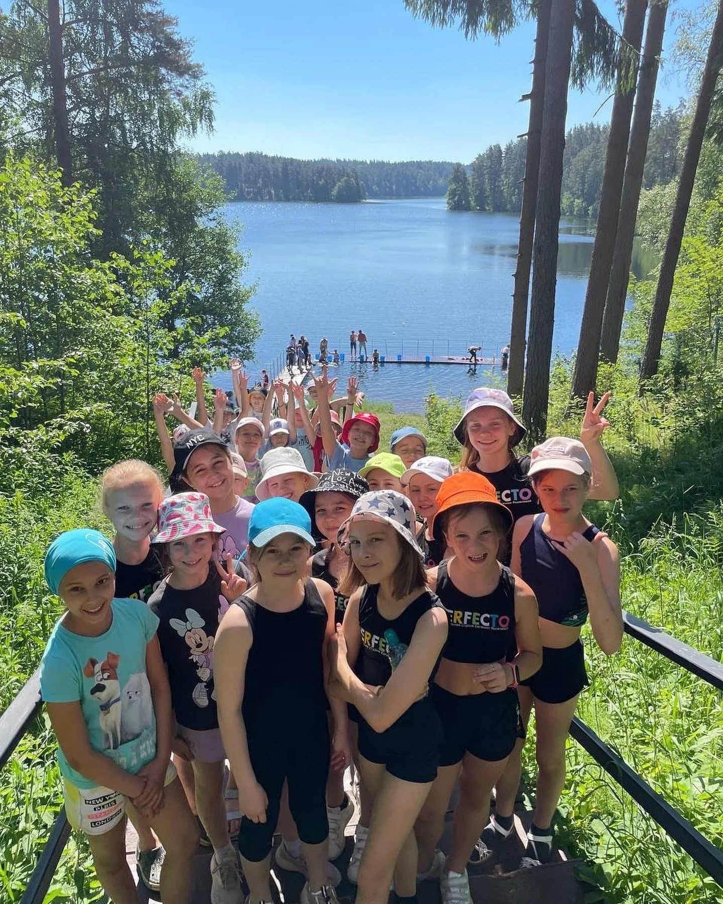 Лес и природа вокруг лагеря