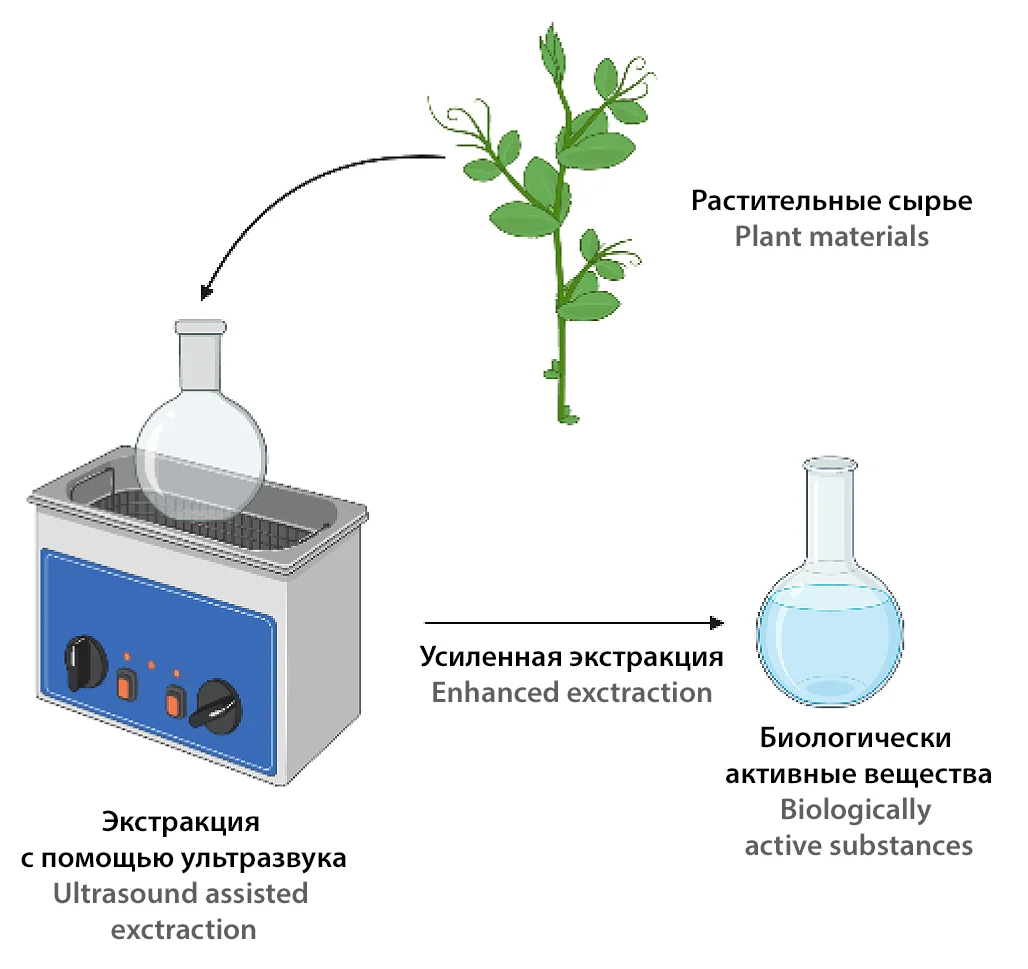 RUC1 - Способ приготовления водных экстрактов растений - Google Patents