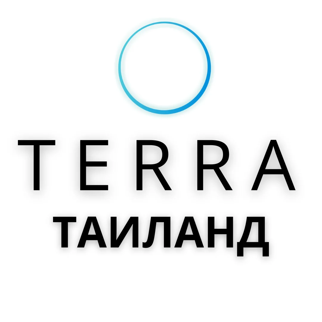 Логотип Terra 2.0