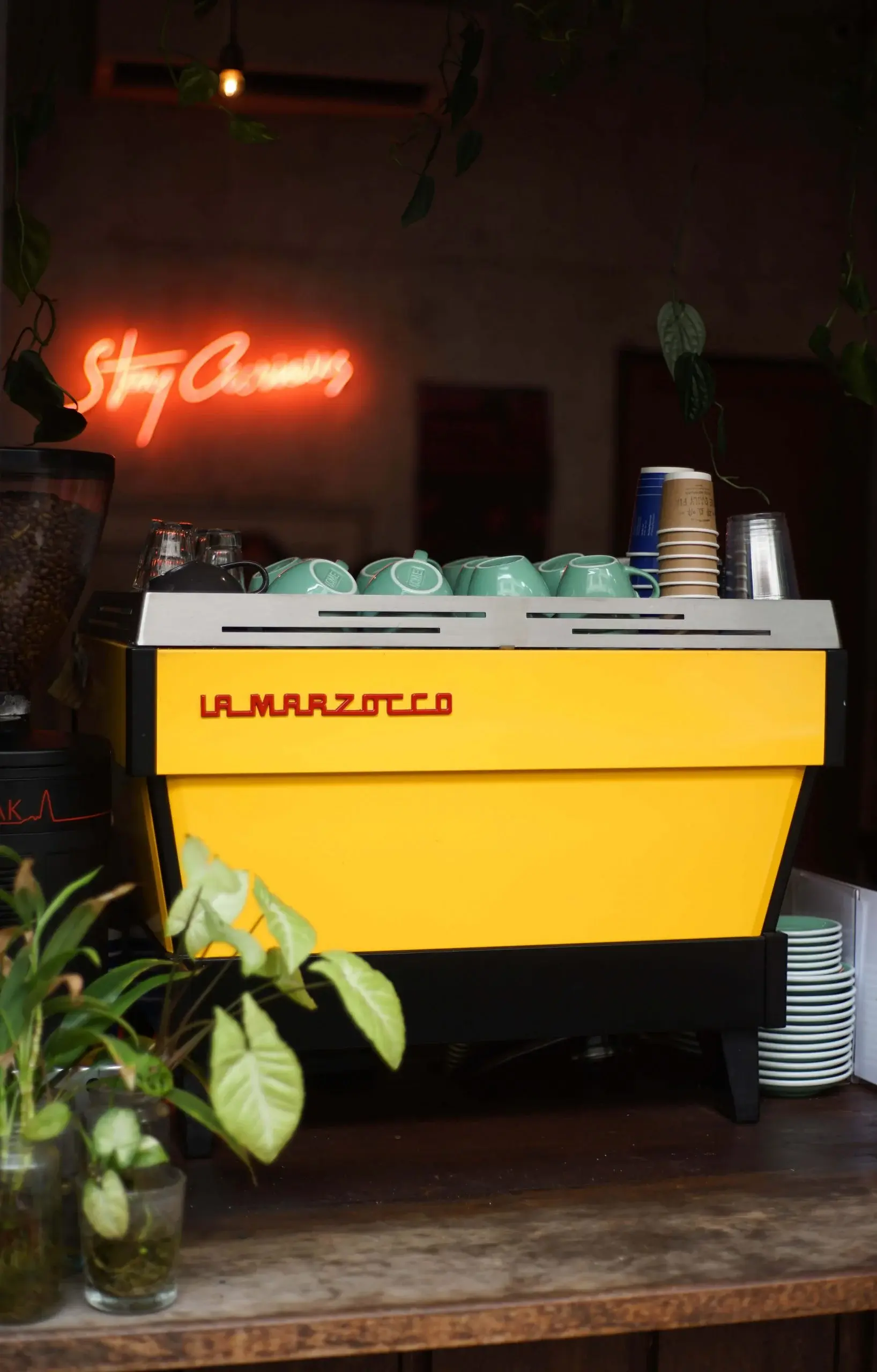 La Marzocco Linea PB с паддлами для предварительного замачивания