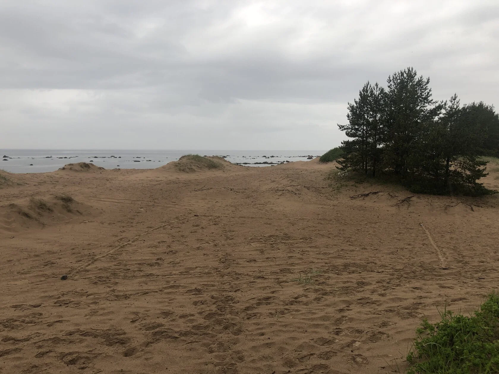 Берег Финского залива — выбор натуры