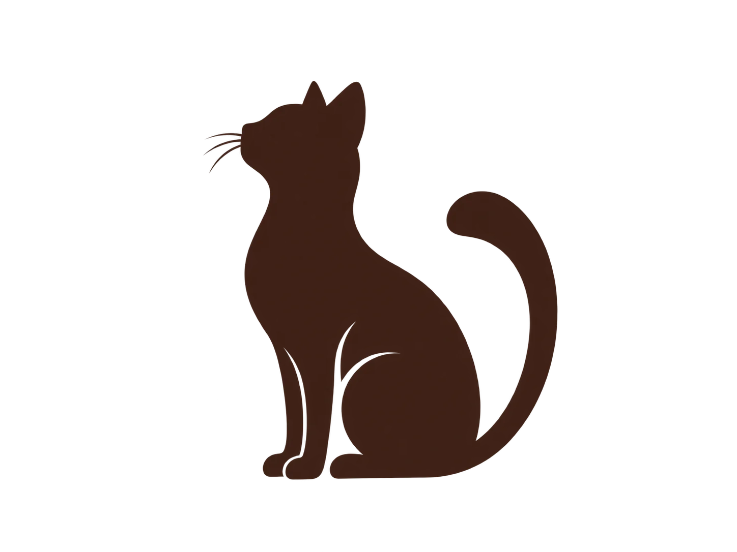 Котик